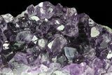 Purple Amethyst Cluster - Uruguay #66780-2